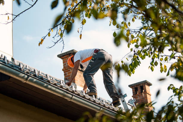 Best Storm Damage Roof Repair  in South Elgin, IL