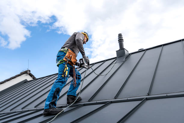 Best Roof Leak Repair  in South Elgin, IL