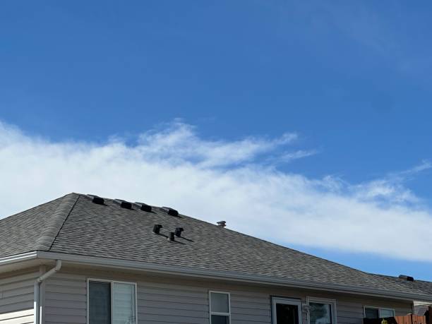 Professional Roofing Service in South Elgin, IL